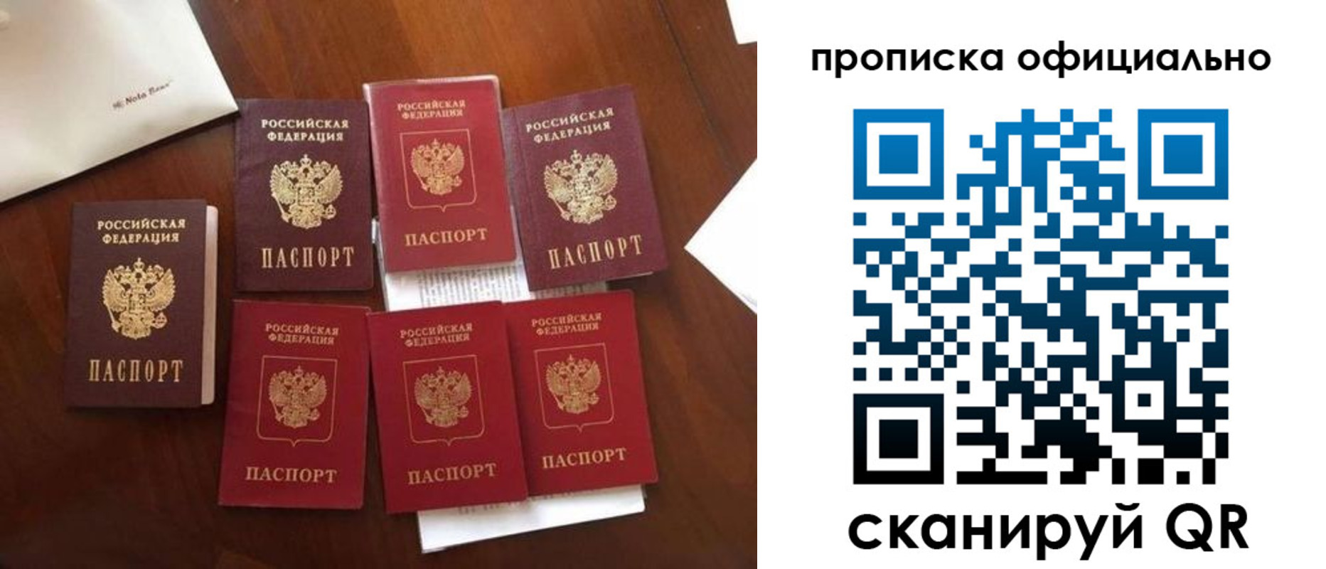 прописка законно в Каменке